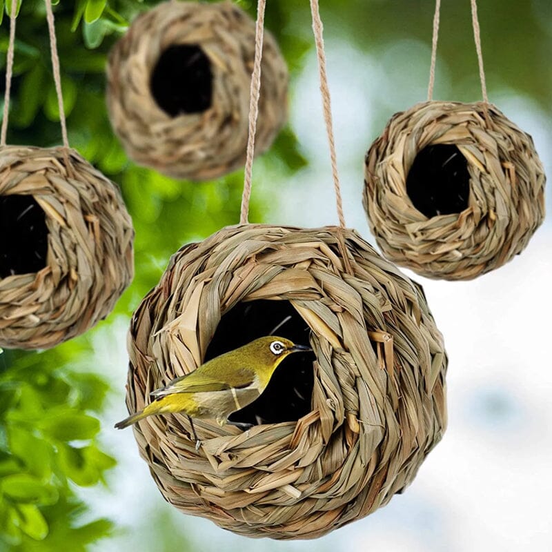 Hummingbird Nest House