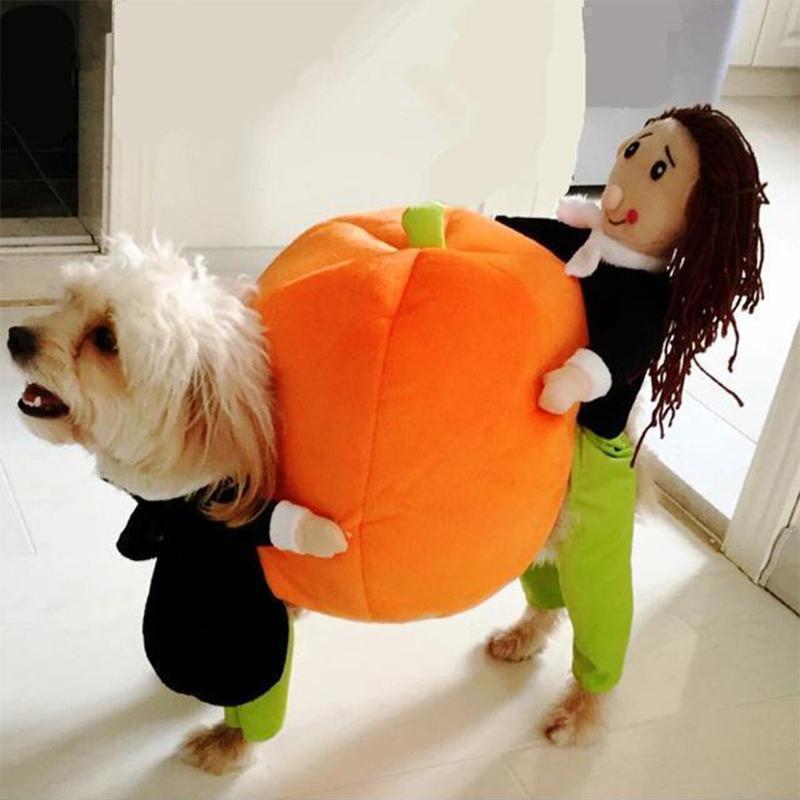 Sunsetime™ Funny Pet Costumes