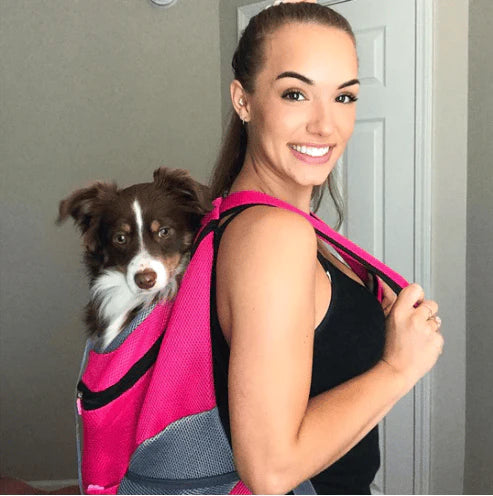 Backpack for Dogs