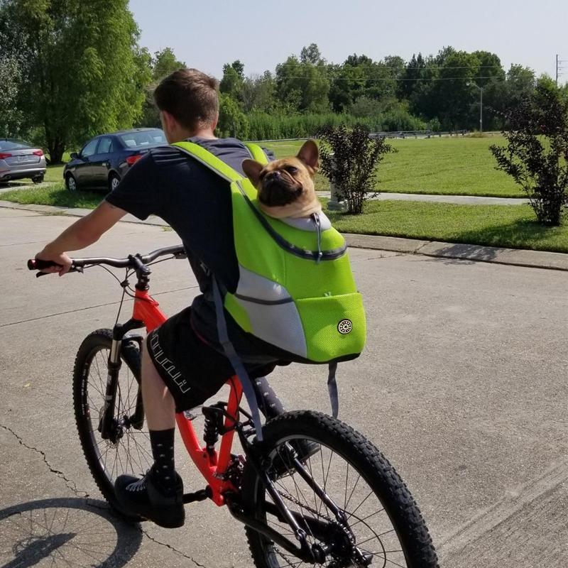 Backpack for Dogs