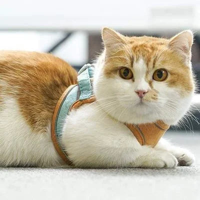 Cat Vest Harness and Leash Set