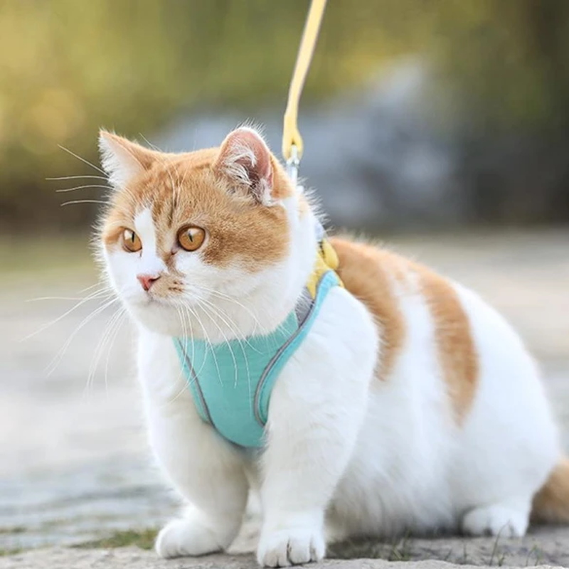 Cat Vest Harness and Leash Set