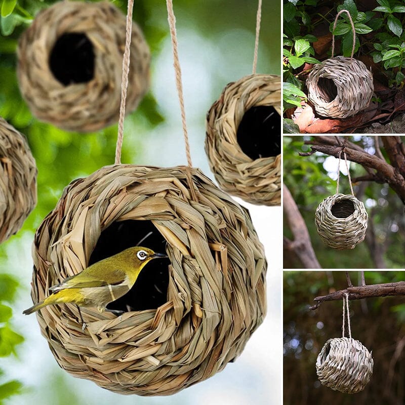 Hummingbird Nest House